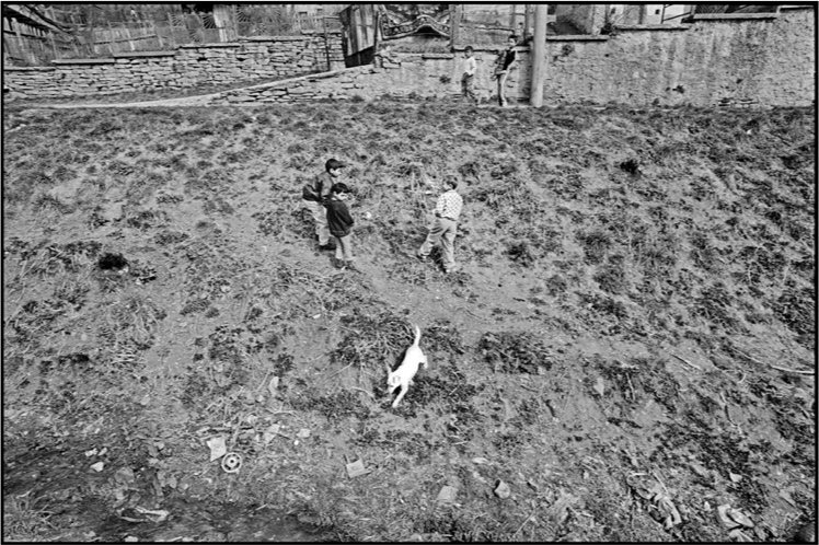 Roma in der Slowakei